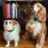 Christmas Entertainment Dog Bow Tie