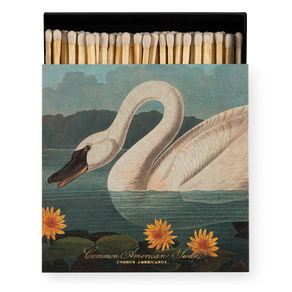 American Swan Square Matches