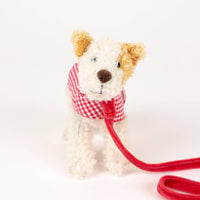 Small Eliot With Leash & Coat