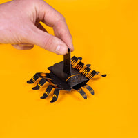 Create Your Own Wriggly Spider