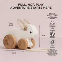 Pull Along Hopping Bunny Rabbit