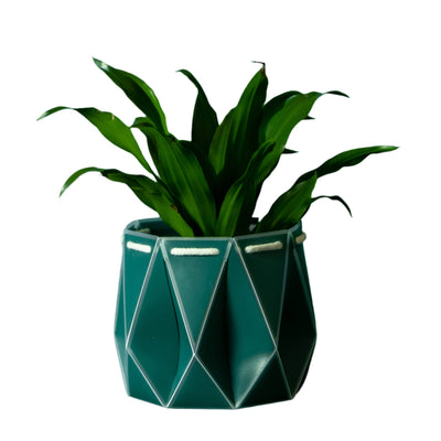 11cm Self-Watering Pot - Dark Teal