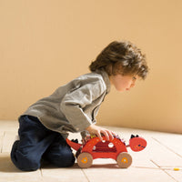 Classic World Wooden Dinosaur Xylophone and Pull Along