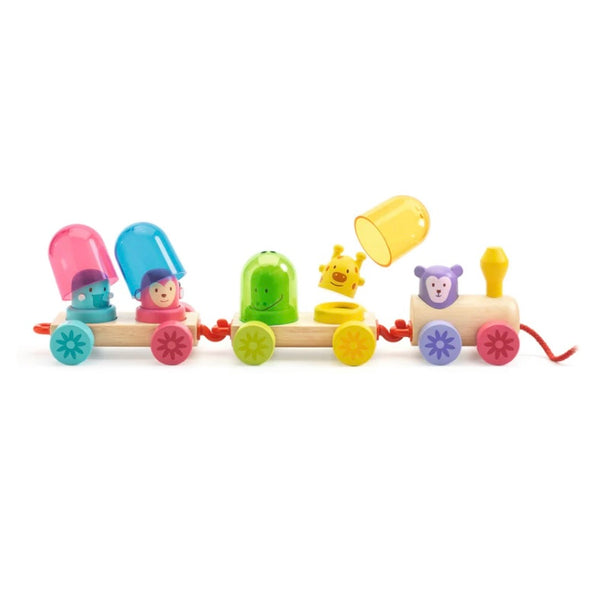 Rainbow Activity Train