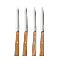 4 Table Knives Set