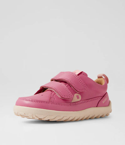 IW Dawn - Cashmere Rose