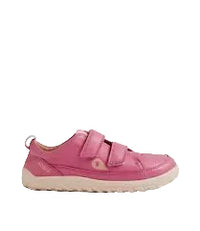 KP Dawn - Cashmere Rose