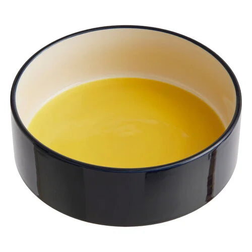 Large Dog Bowl - Yellow/Blue