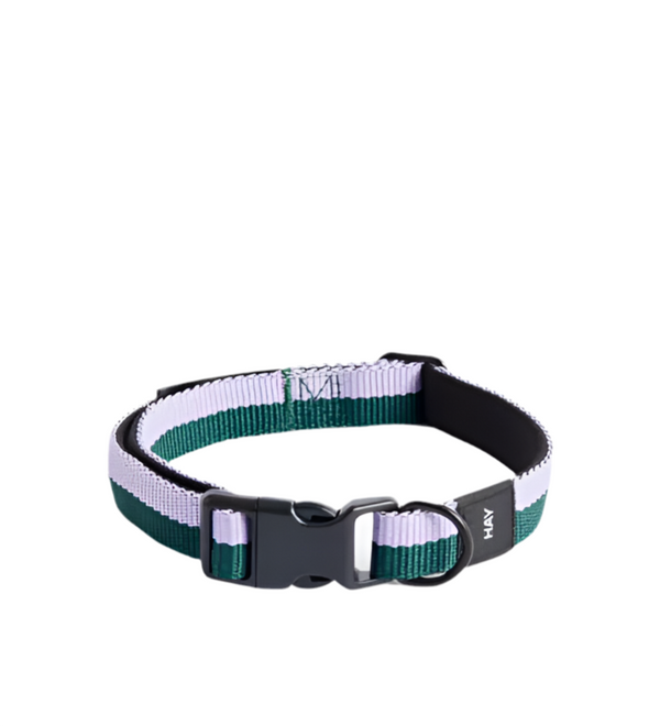 Dog Collar Flat M/L - Lavender/Green