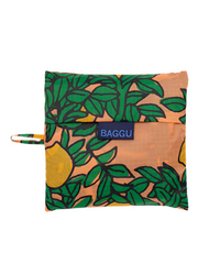 Big Orange Tree Coral