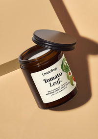 Aery - Tomato Leaf Scented Jar Candle
