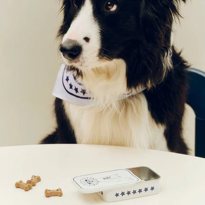 Dog Treat Tin - Small - Blue And White