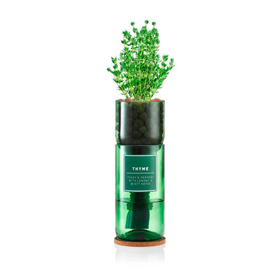 Thyme Kit