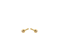 Astra Earsticks - Gold Plated