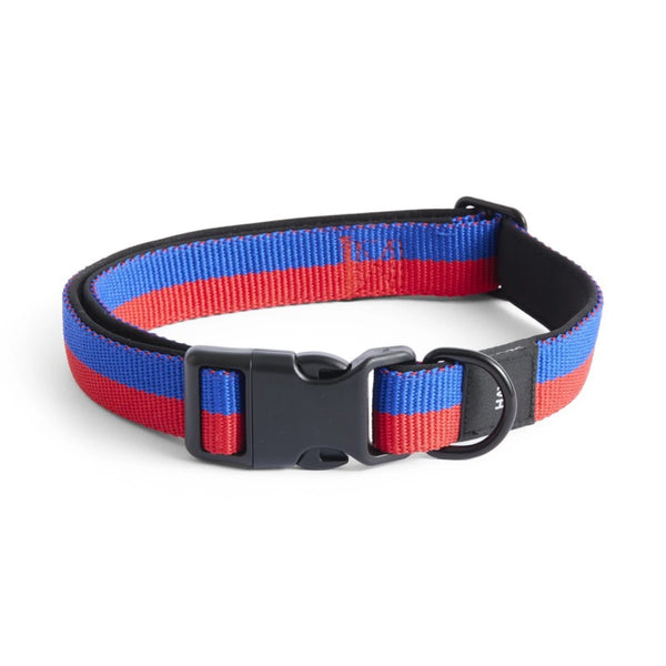 Dog Collar Flat S/M - Red/Blue