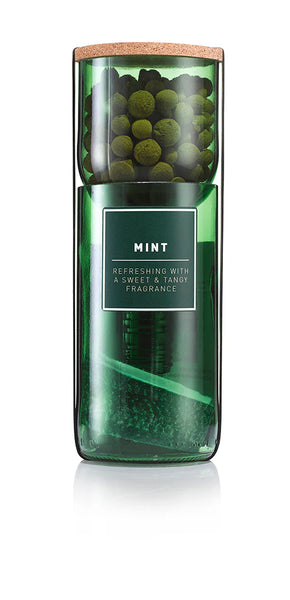 Hydro-Herb - Mint Herb Kit