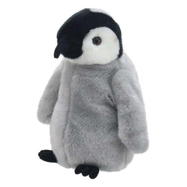 Penguin Chick - Full Bodied