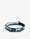 Dog Collar Flat M/L - Lavender/Green