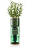 Hydro-Herb - Rosemary kit