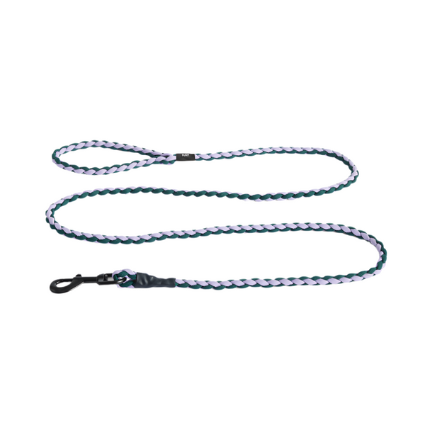 Braided Dog Leash - Lavender/Green