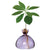 Avocado Vase - Spring Lilac