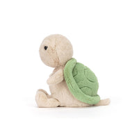 Thimble Turtle
