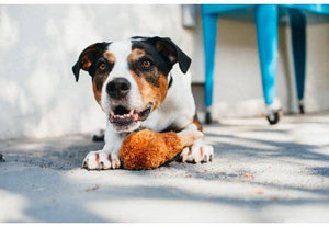 Fried Chicken Dog Toy