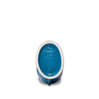 Petrol Original Gluggle Jug - Large
