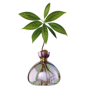 Avocado Vase Cosmic Vega