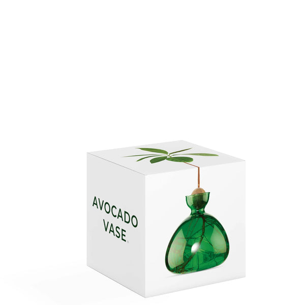 Ilex Studio - Avocado Vase - Emerald Green