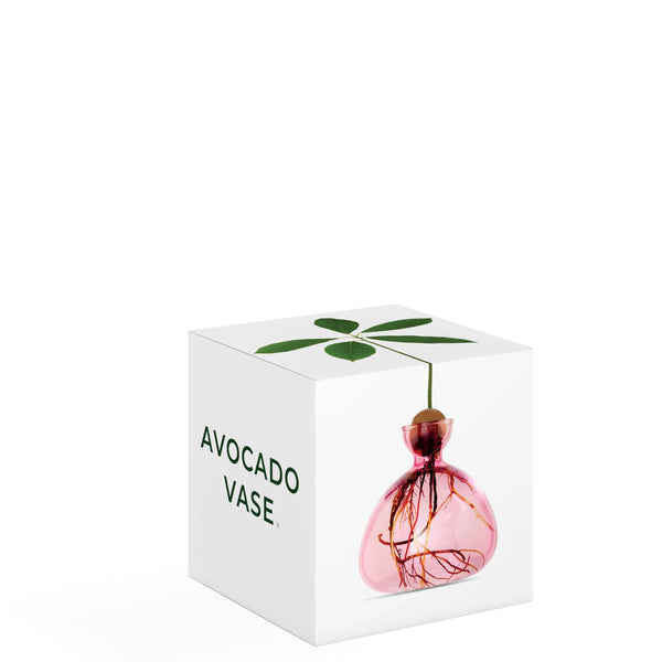 Ilex Studio - Avocado Vase - Rose Pink