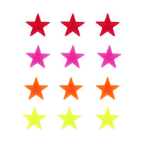 Bicycle Spoke Stars - Unicorn