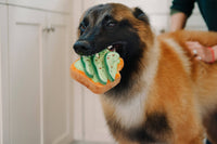 Barking Brunch Avo-Doggo Toast Dog Toy