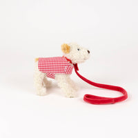 Small Eliot With Leash & Coat