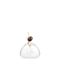 Avocado Vase Clear