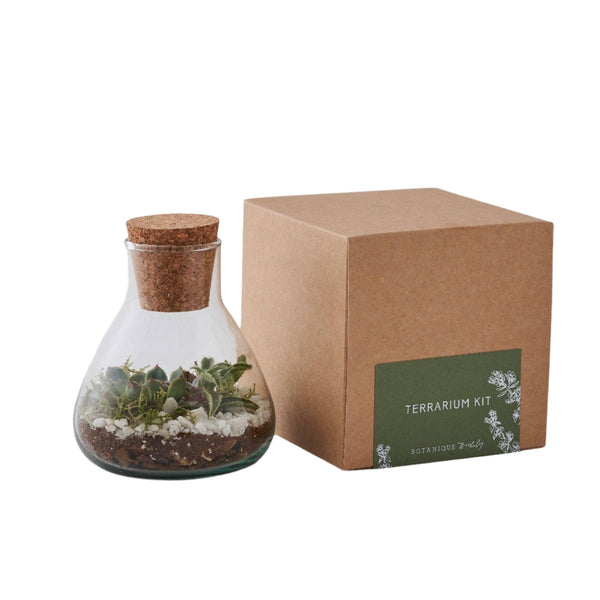 Terrarium Making Kit