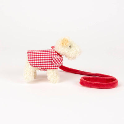 Mini Eliot With Leash & Coat