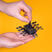 Create Your Own Wriggly Spider