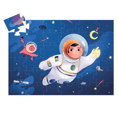 An Astronaut on the Moon Puzzle