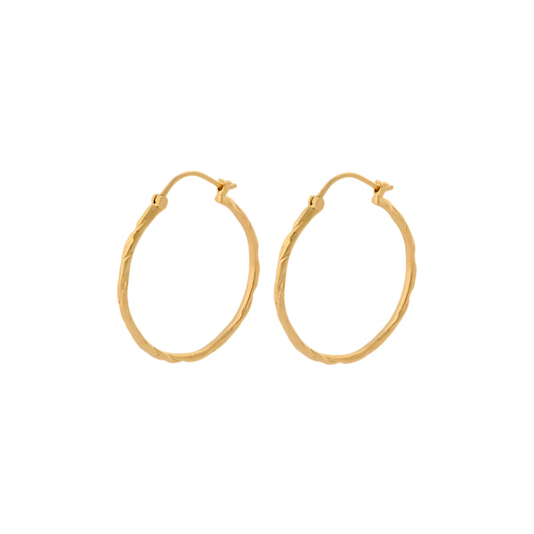 Ice Creoles Hoops - Gold Plated