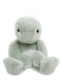 Timmy Tortoise Teddy Bear