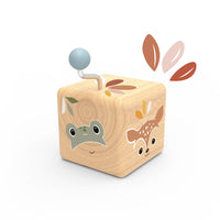Music box jungle / forest