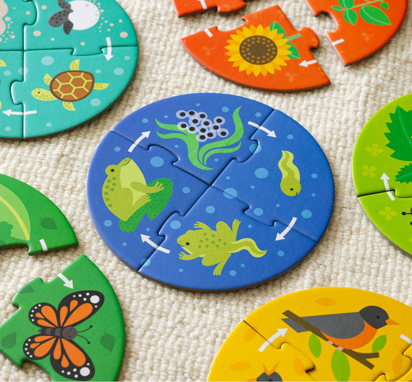 Discovery Puzzle - Life Cycle