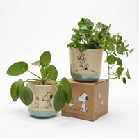 Peanuts Stoneware Planter - Love is in Bloom