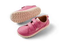 KP Dawn - Cashmere Rose