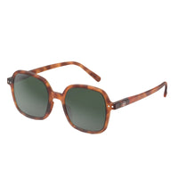 #Office Sunglasses - Havane