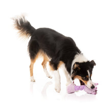 Neckita The Llama Dog Toy