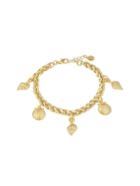 Shell Charm Bracelet