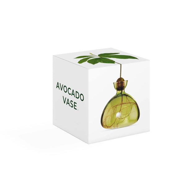 Ilex Studio - Avocado Vase - Grass Green