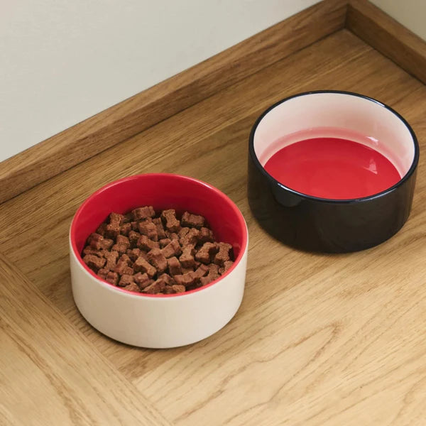Small Dog Bowl - Blue/Red